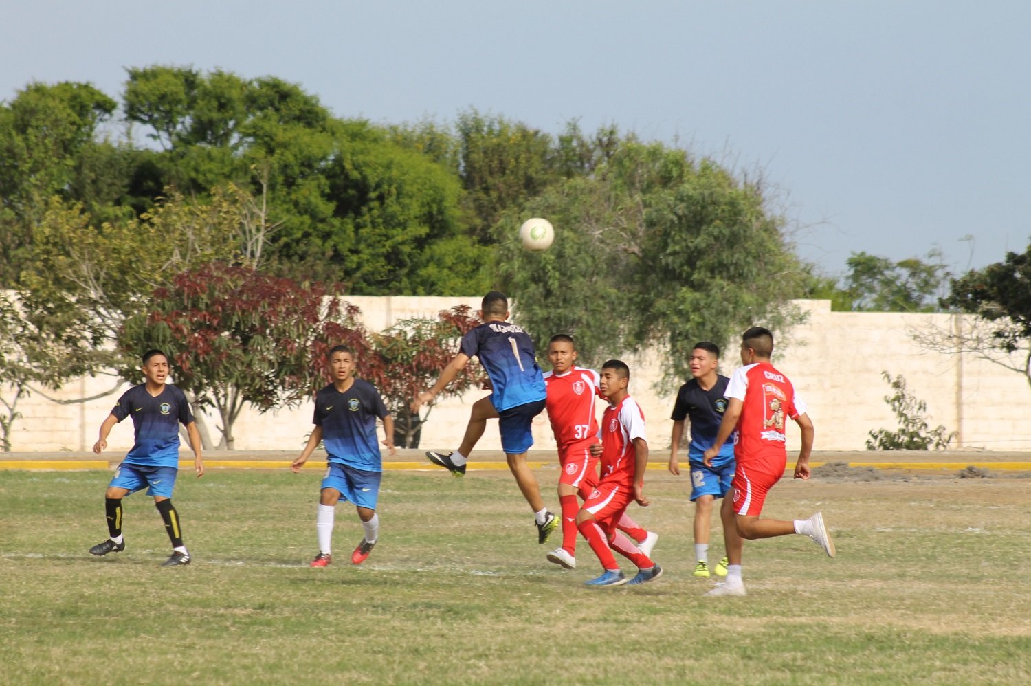 Campos Deportivos